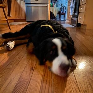 Meet your Posher, Tricia